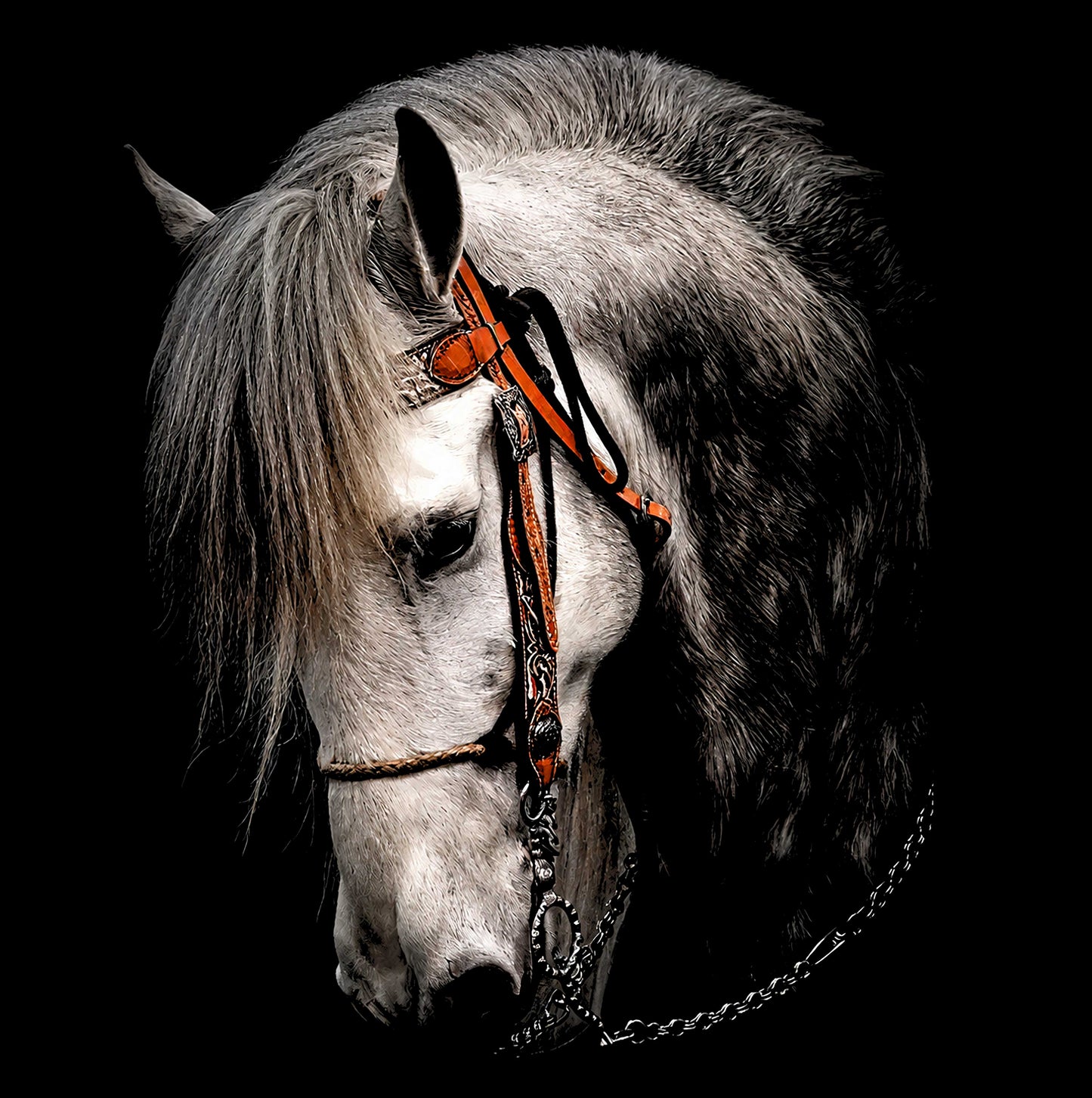 Caballo Charro – Diseño Digital PNG para DTF, DTG y Sublimación | Descarga Inmediata
